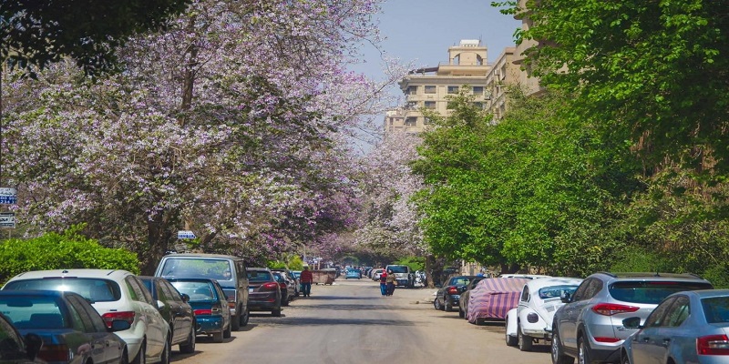 عيوب حي المعادي